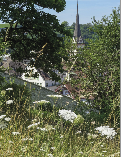 Die Stadt Schaffhausen ist zertifiziert!